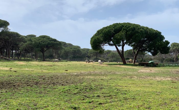 pasqua agriturismo la quercia, dintorni