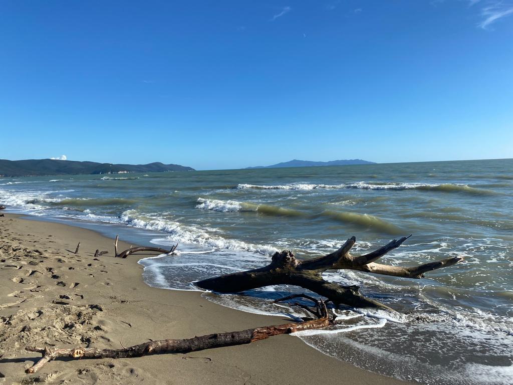 spiaggia di marina di alberese, agriturismo la quercia