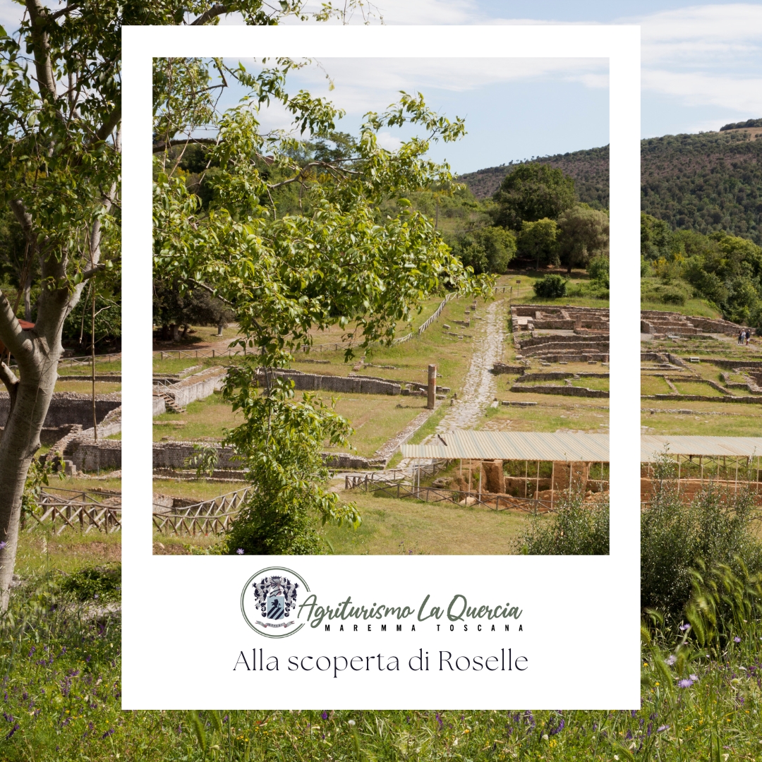 Alla scoperta di Roselle - Agriturismo Toscana Grosseto con piscina La Quercia