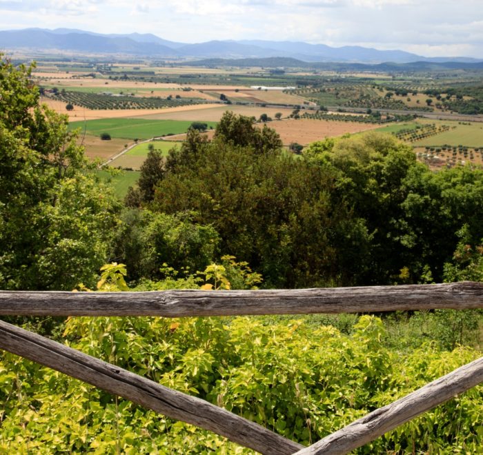 Roselle, nei dintorni dell'Agriturismo La Quercia, Agriturismo Toscana Grosseto con piscina (1)