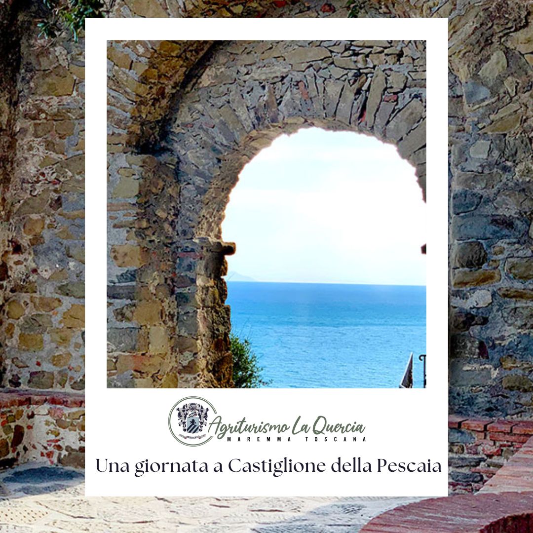 Agriturismo Maremma con Piscina vicino al mare La Quercia Castiglione della pescaia