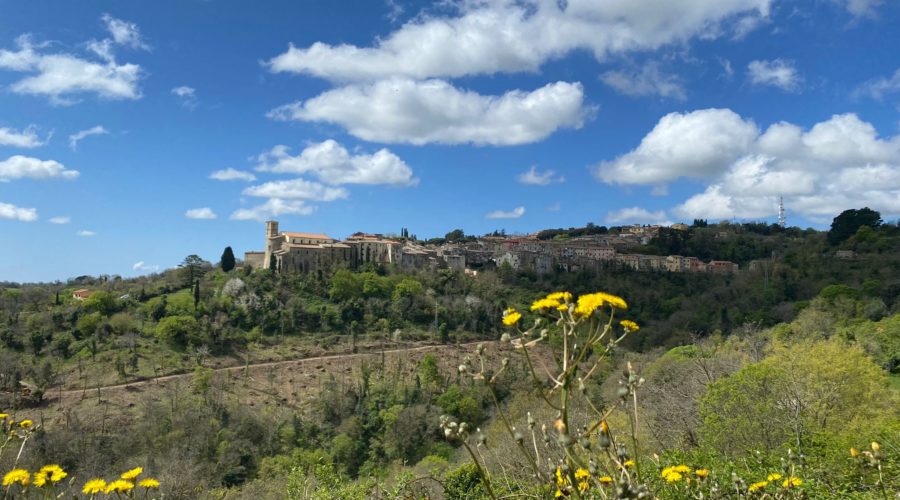 Agriturismo con piscina a Grosseto - Agriturismo La Quercia - Scansano (2)