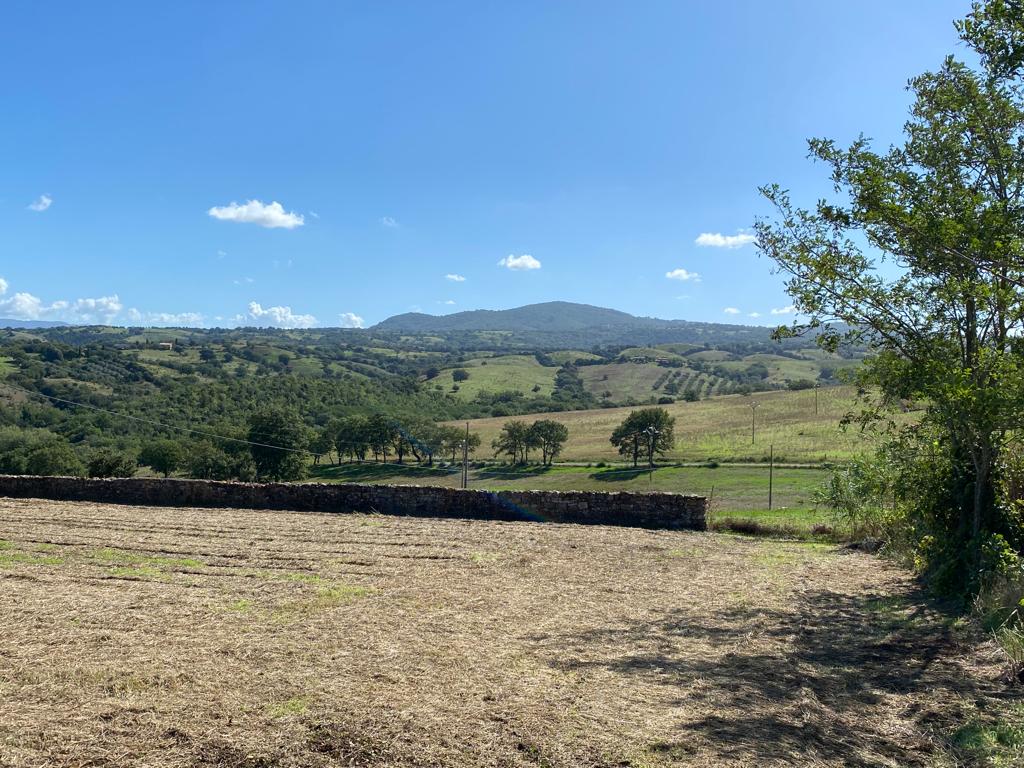 Autunno in Maremma Agriturismo La Quercia