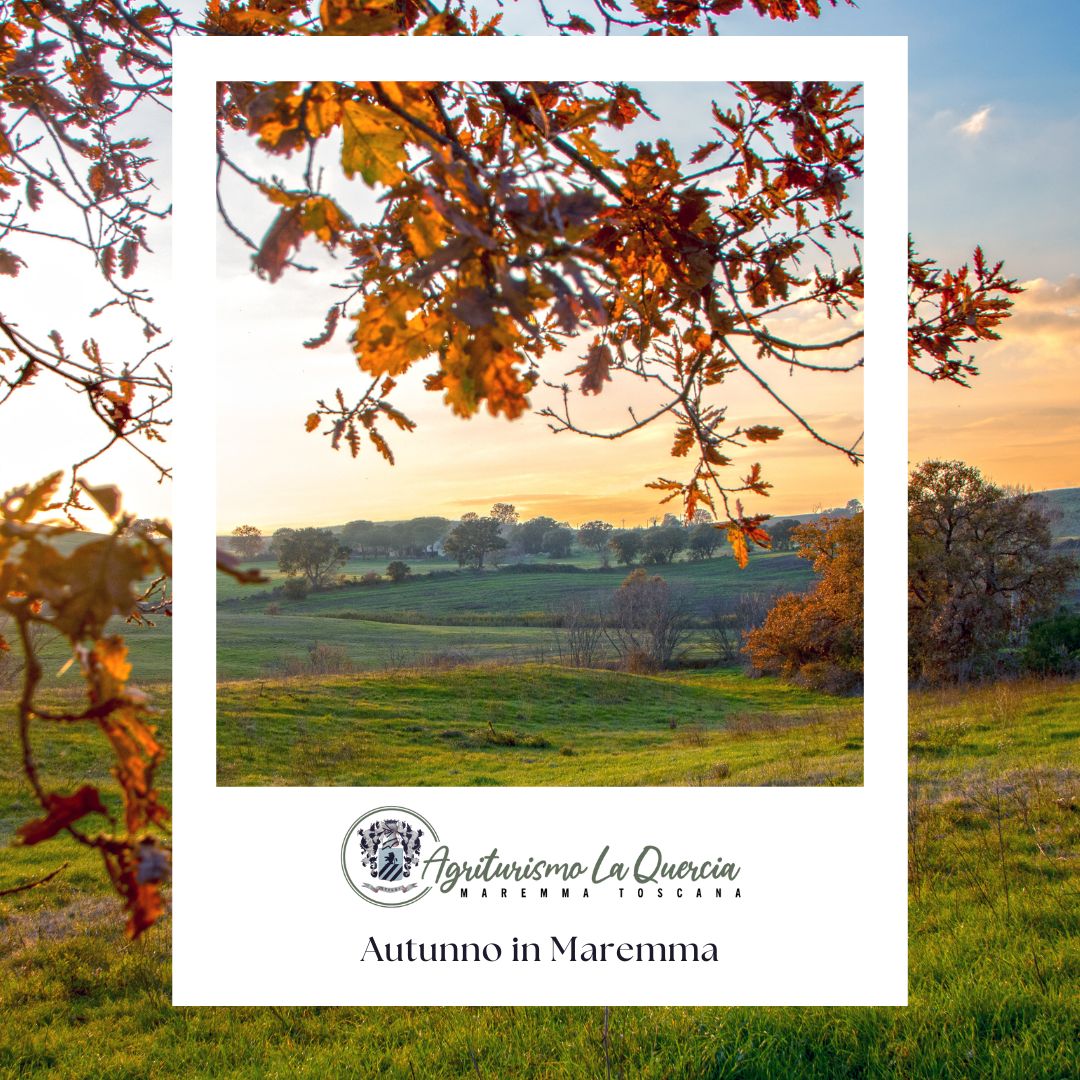 Autunno in Maremma presso l'Agiturismo La Quercia