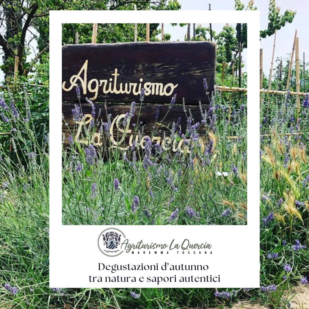 Maremma agriturismo degustazioni d’autunno tra natura e sapori autentici - Agriturismo La Quercia