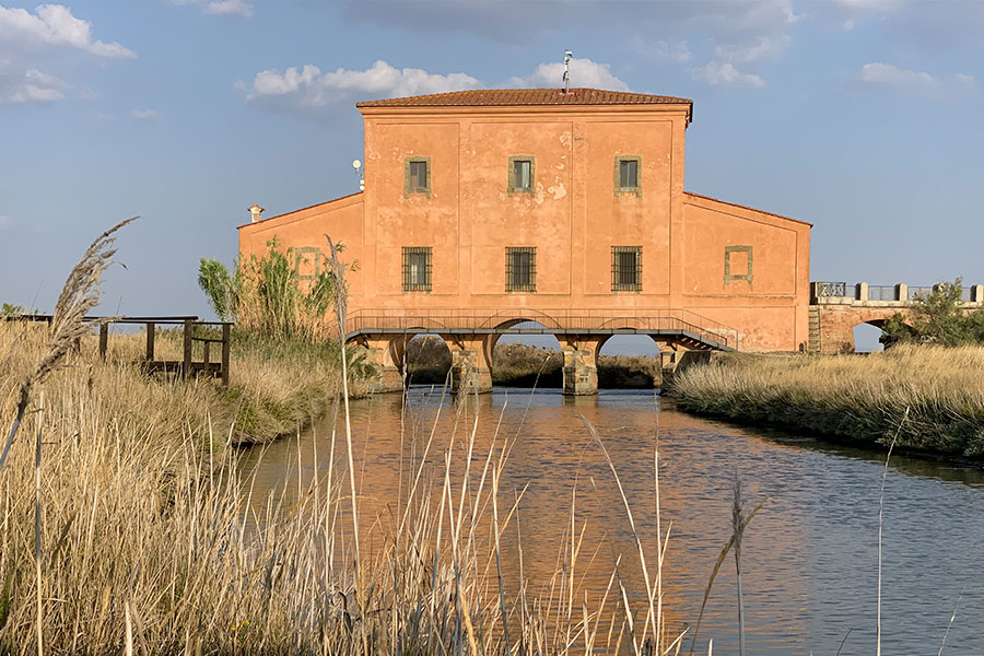 Castiglione-della-Pescaia-Agriturismo-Maremma-con-piscina-la-Quercia-1 (3)