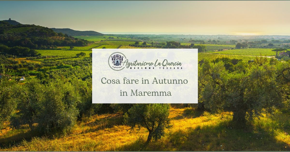Agriturismo Scansano Grosseto – la Quercia – Cosa fare in Autunno in Maremma
