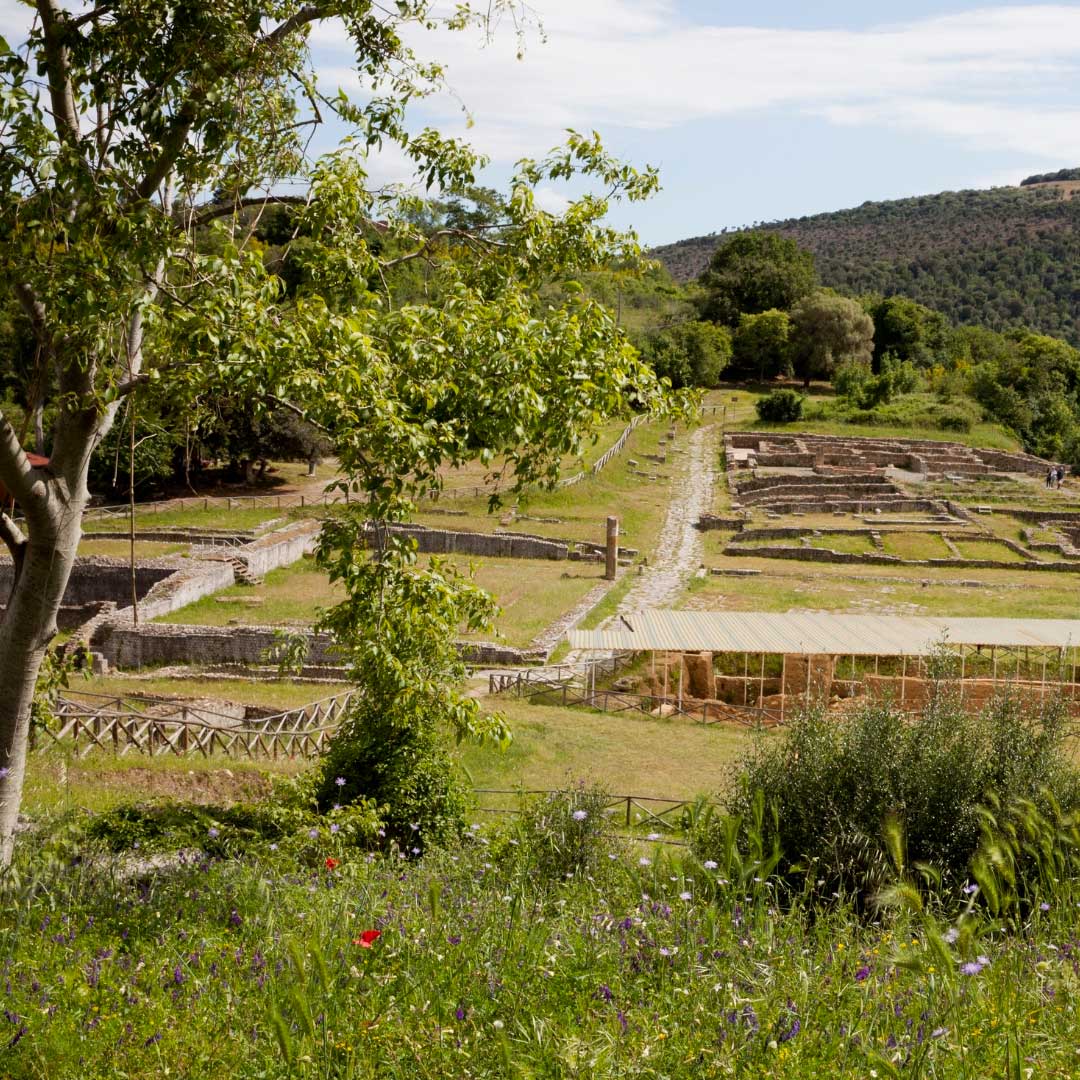 Roselle - Agriturismo Toscana Grosseto con Piscina La Quercia