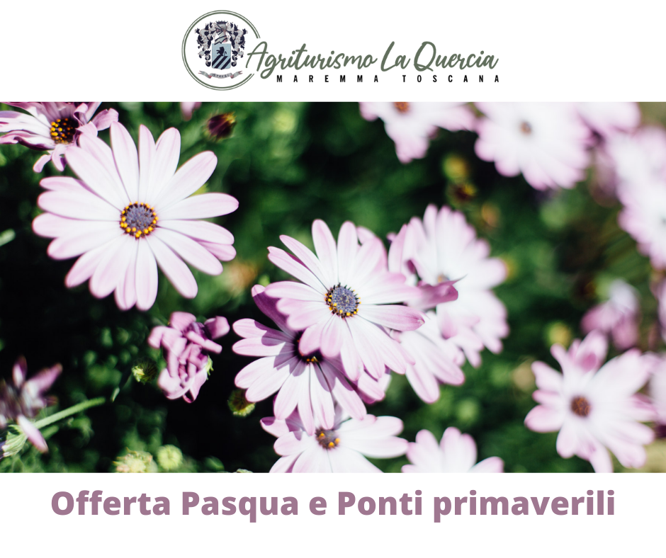 Offerte Agriturismo Grosseto Vacanze in Maremma