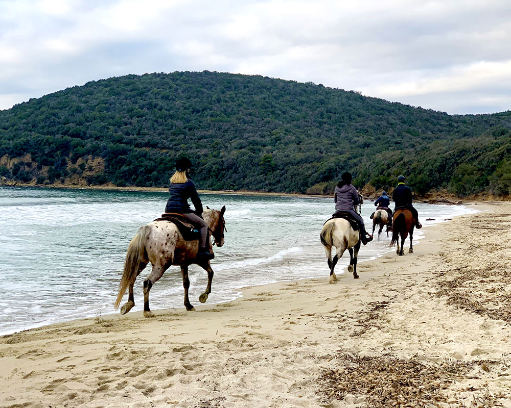 SPIAGGIA-DI-CALA-VIOLINA-ESCURSIONI-A-CAVALLO