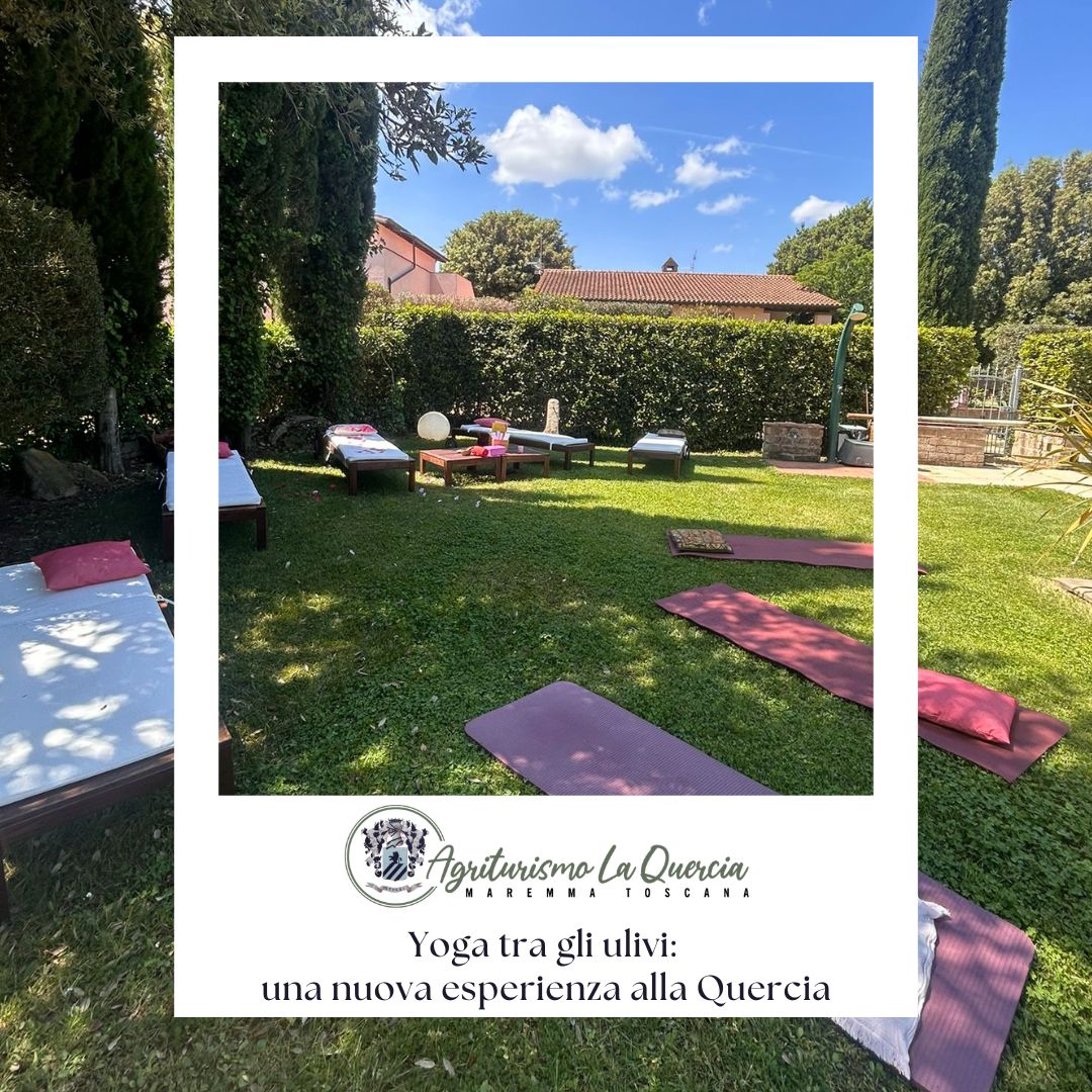 Yoga tra gli ulivi in Maremma Agriturismo La Quercia Grosseto