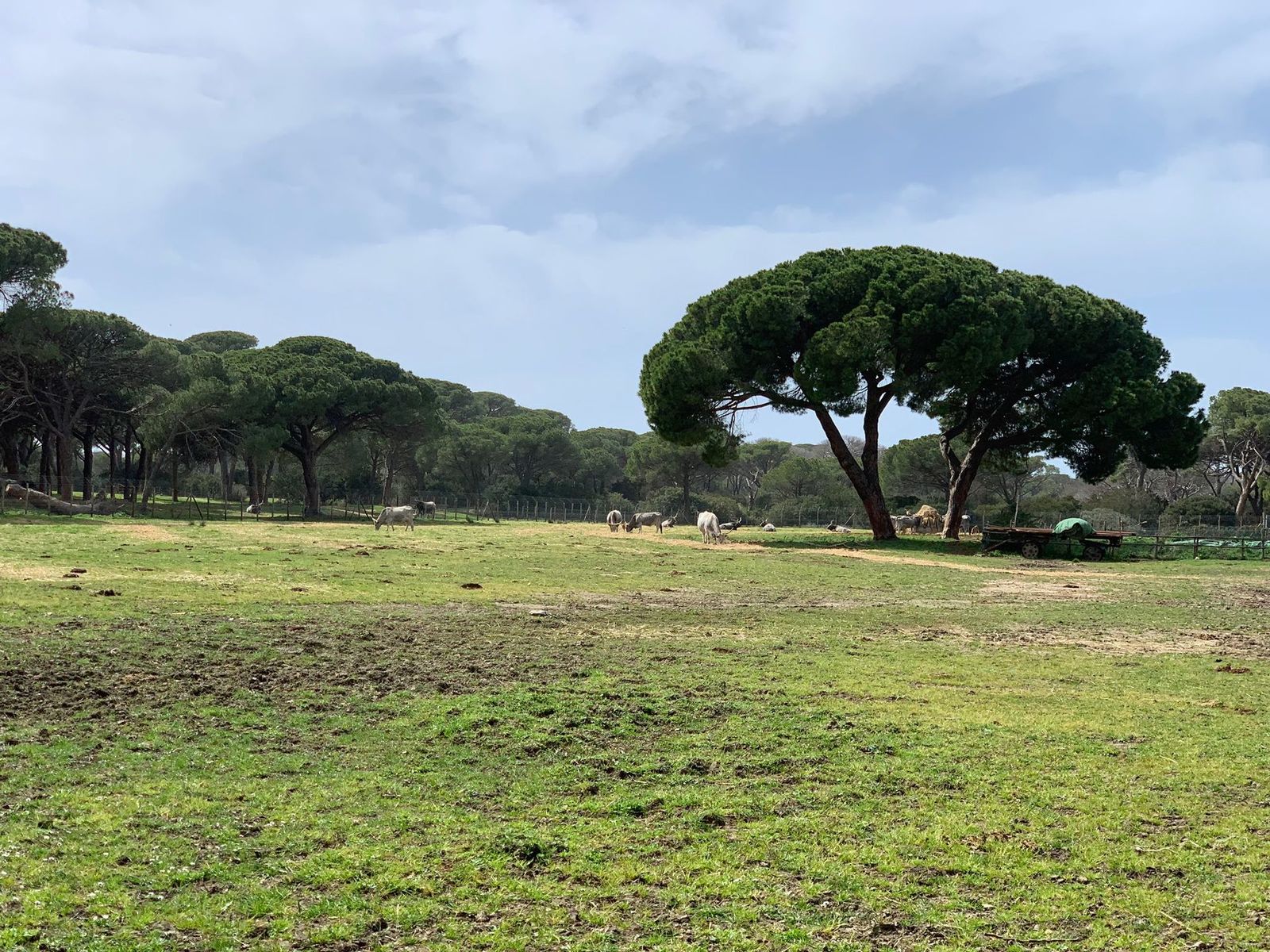 pasqua agriturismo la quercia, dintorni